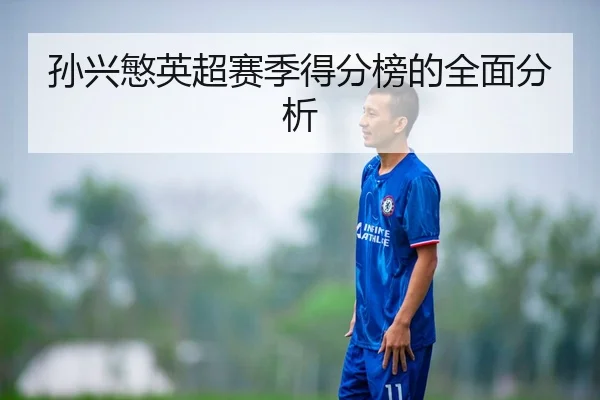 孙兴慜英超赛季得分榜的全面分析